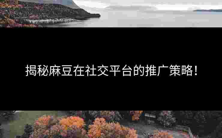 揭秘麻豆在社交平台的推广策略！